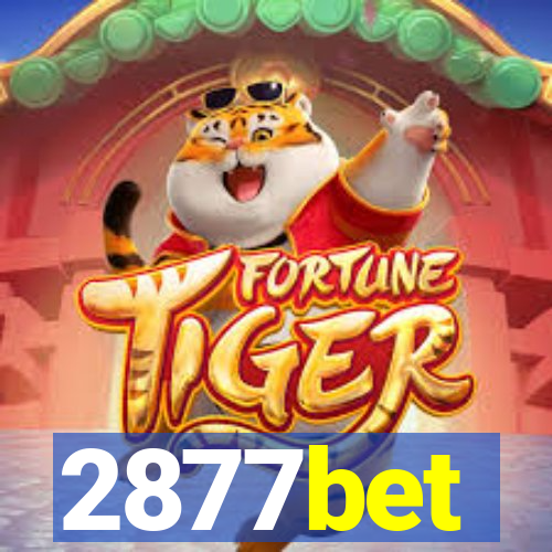 2877bet