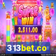 313bet.co