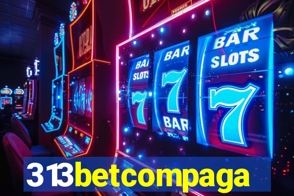 313betcompaga