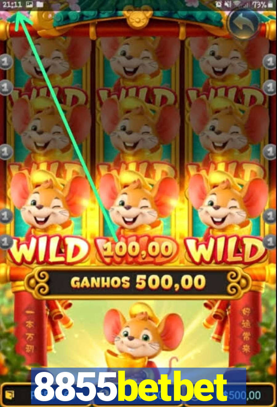 8855betbet