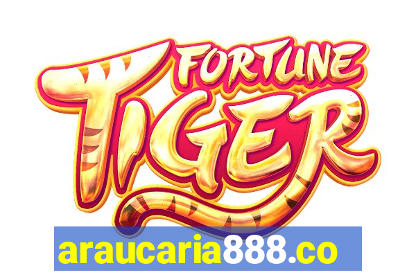 araucaria888.com