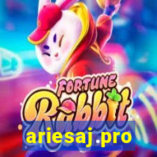 ariesaj.pro