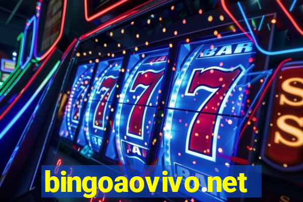 bingoaovivo.net