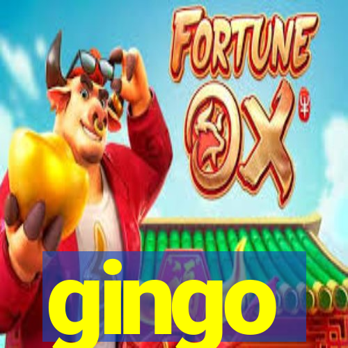 gingo