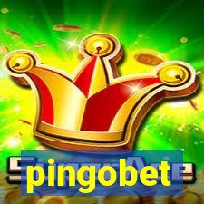 pingobet
