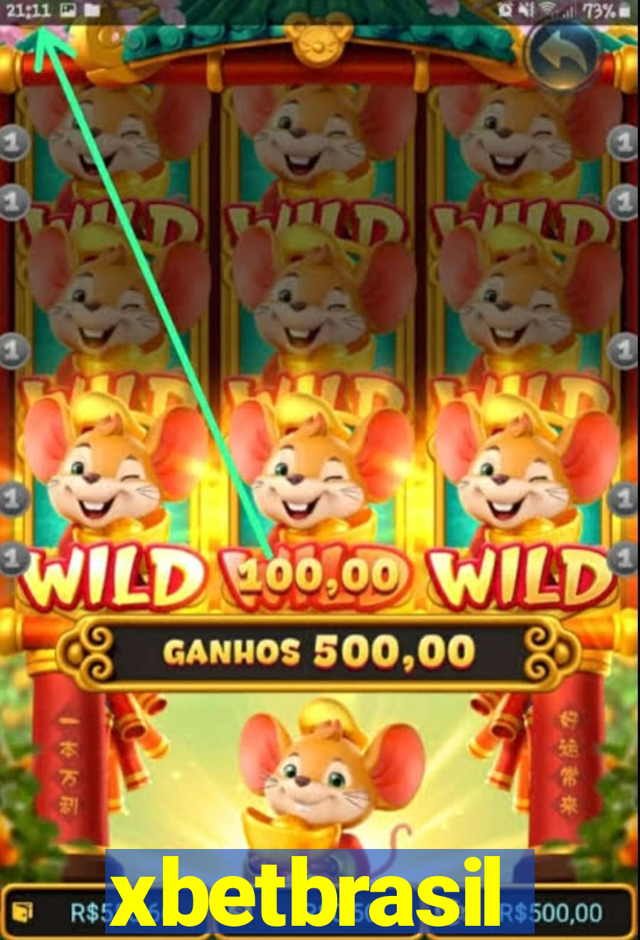 xbetbrasil