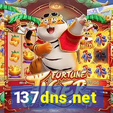137dns.net