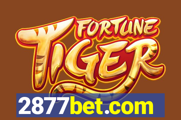 2877bet.com