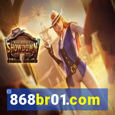 868br01.com