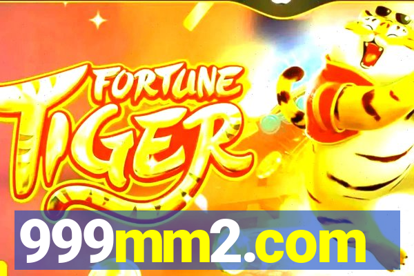 999mm2.com