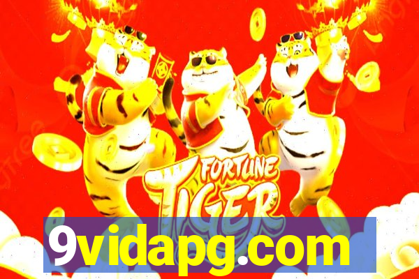 9vidapg.com