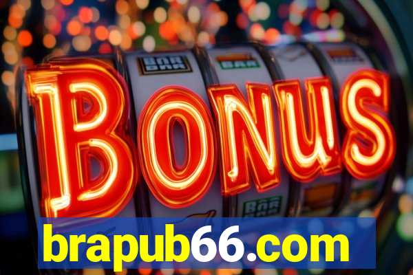 brapub66.com