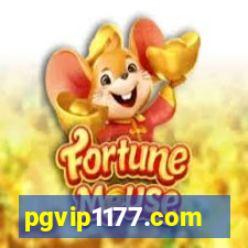 pgvip1177.com