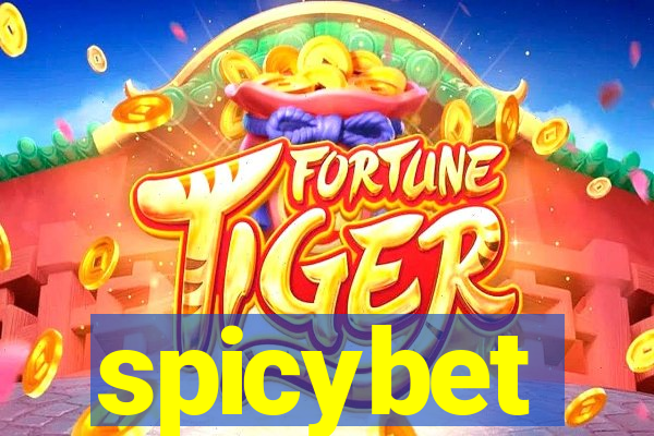 spicybet-2.com