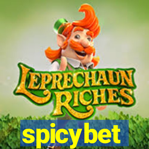 spicybet-4.com