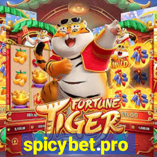 spicybet.pro