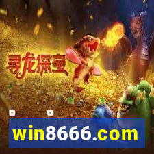 win8666.com